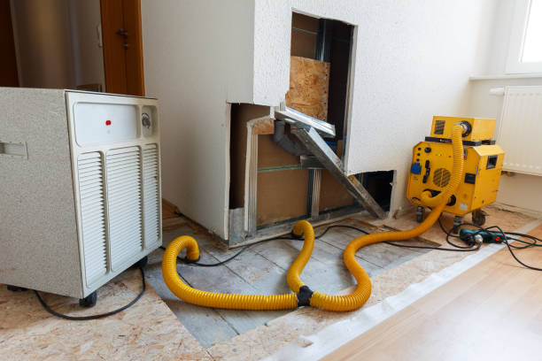 Professional Mold Removal in Monte Vista, CO