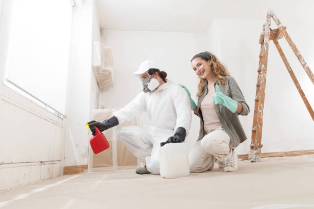 Best Commercial Mold Inspection  in Monte Vista, CO