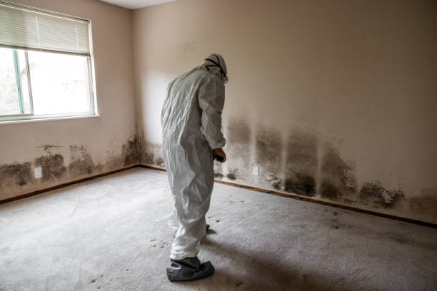 Best HVAC Mold Inspection and Cleaning  in Monte Vista, CO